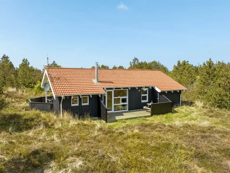 Ferienhaus mit Hund in Klitmøller fuer max. 6 Personen