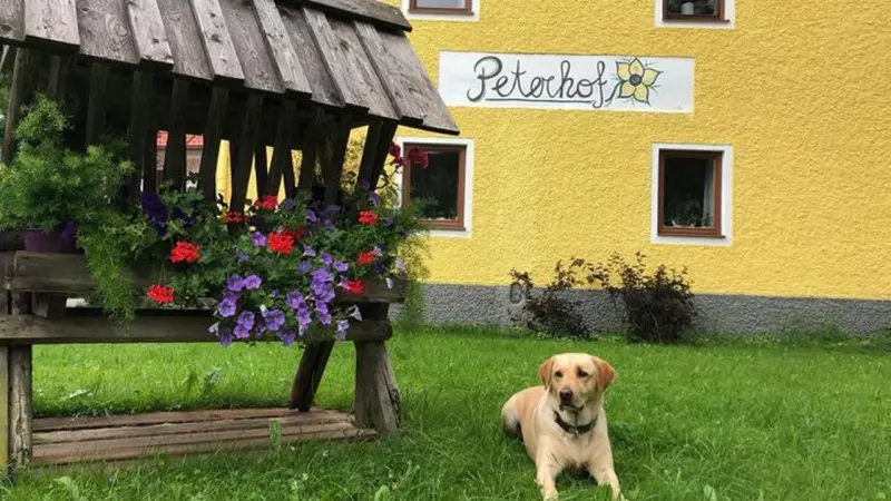 Ferienwohnung Hinterstoder