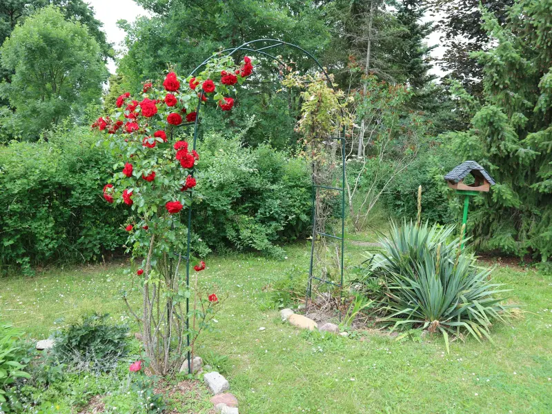 Ferienhaus Forst (Lausitz)