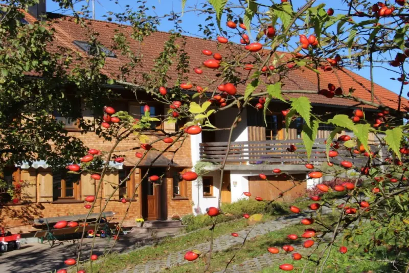 House Weiler im Allgäu