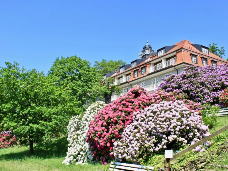 Ferienwohnung  Bühlau