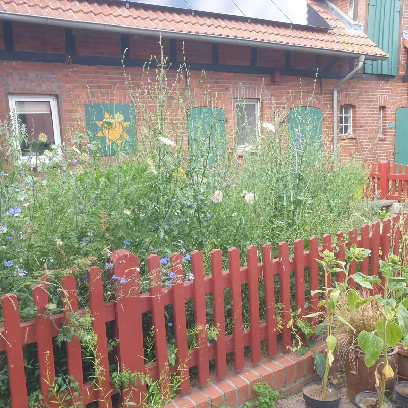 Ferienwohnung Hitzacker (Elbe)