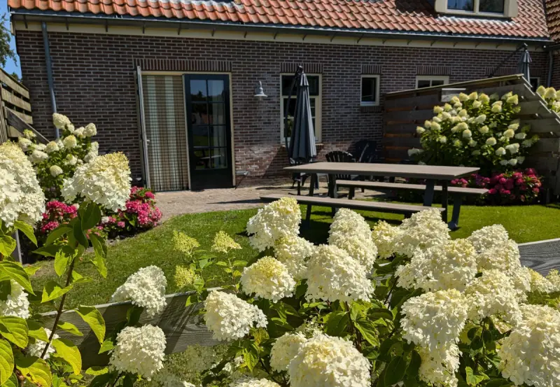 Ferienhaus  Oudesluis