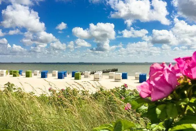 Ferienwohnung mit Hund in Wyk auf Föhr, Föhr, Deutschland