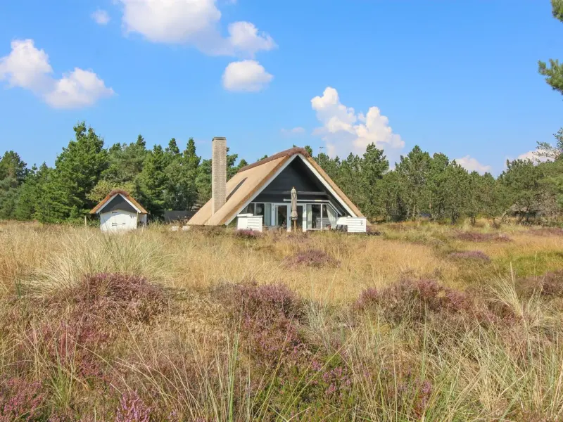 House Blåvand