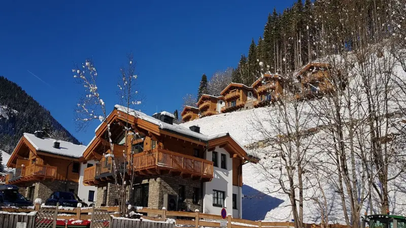 Ferienhaus Mühlbach am Hochkönig