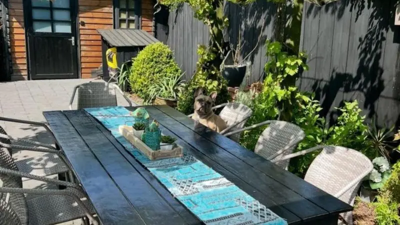 Ferienhaus Petten