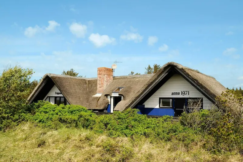 Ferienhaus mit Hund inBlåvand  f&uuml;r max. 6 Personen