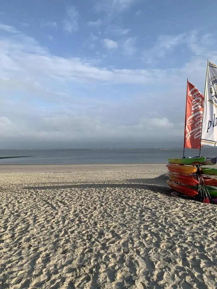 foto40