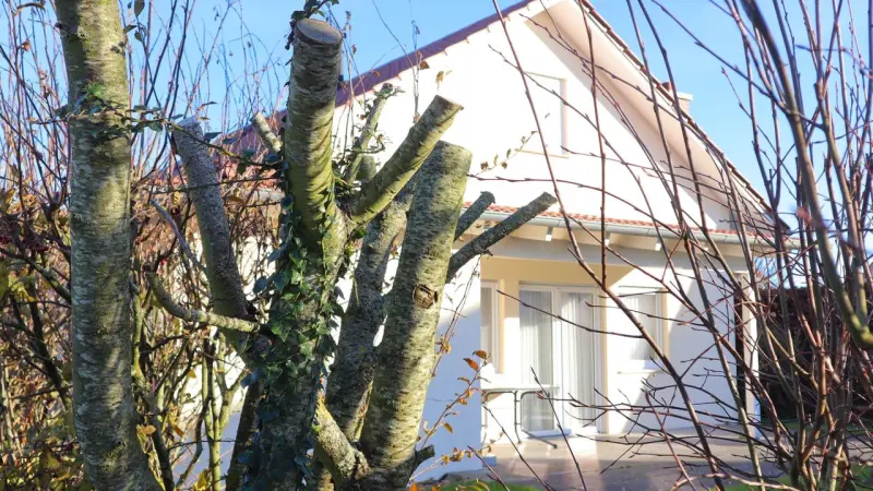 Ferienhaus  Wurster Nordseeküste