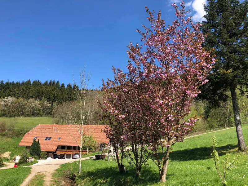 Agriturismo Waldkirch