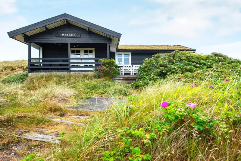 Ferienhaus mit Hund inHouvig Strand  f&uuml;r max. 6 Personen