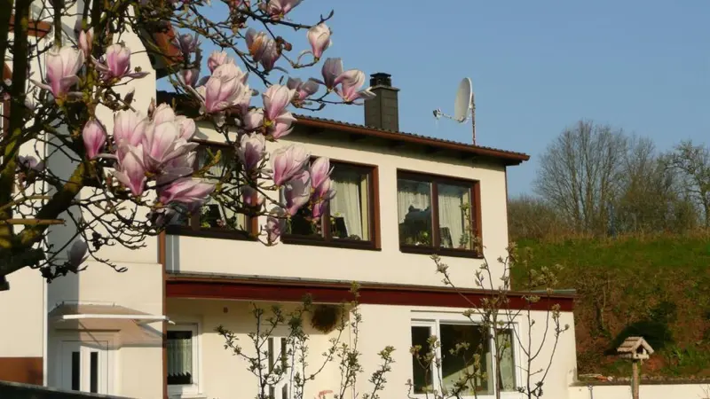 Ferienwohnung Mandelbachtal