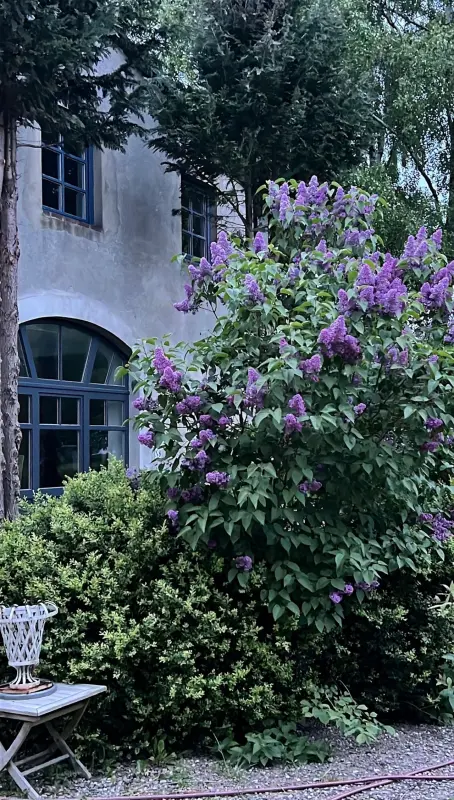 Ferienwohnung  Kühlungsborn