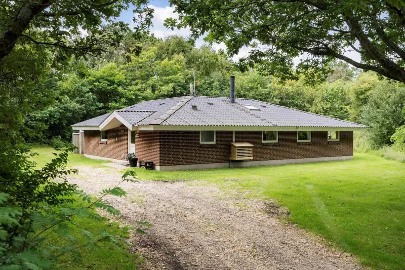 Ferienhaus mit Hund in Lodbjerg Hede, Houvig Strand fuer max. 8 Personen