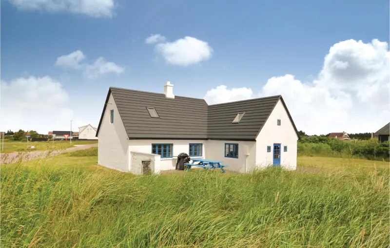 Ferienhaus  Vorupør