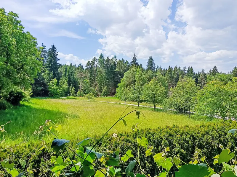 Ferienwohnung  Feldkirchen in Kärnten