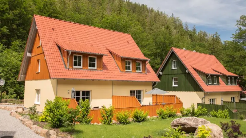 Ferienhaus  Ilsenburg (Harz)