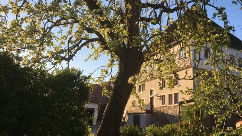 Ferienwohnung  Weikersheim
