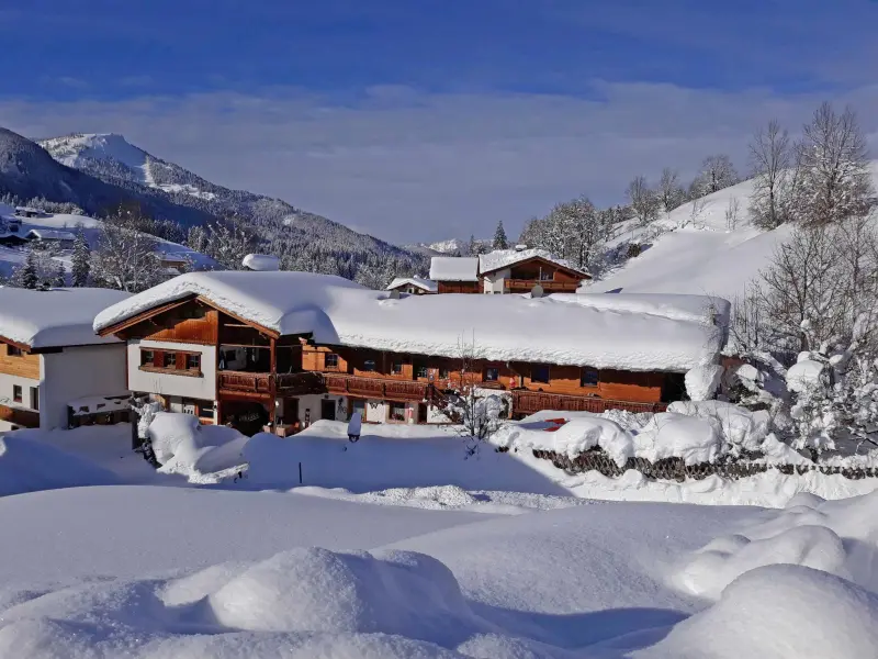 Ferienwohnung mit Hund in Achenkirch, 