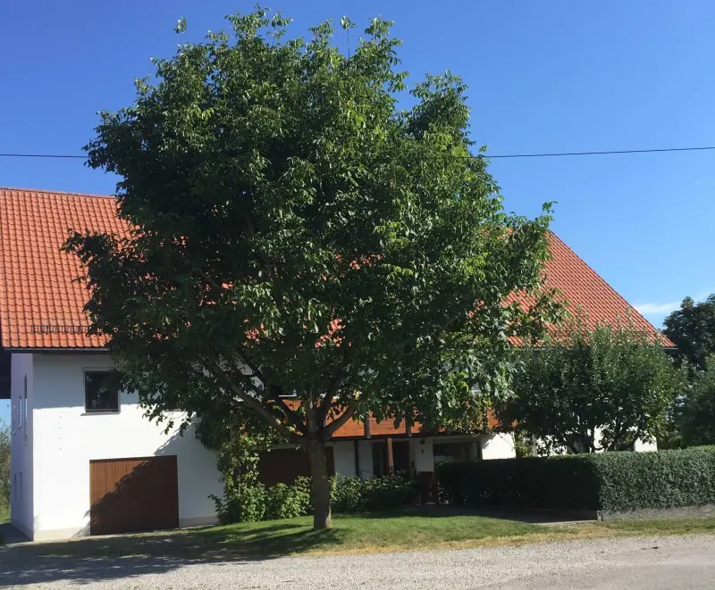 Ferienwohnung  Ochsenhausen