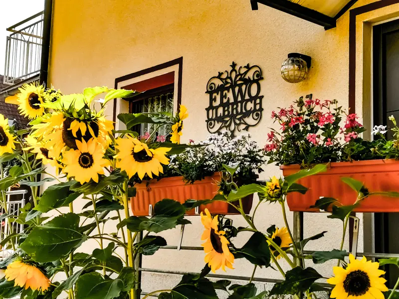 Ferienhaus Langenstadt