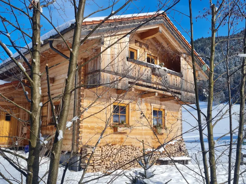 Ferienhaus Gosau