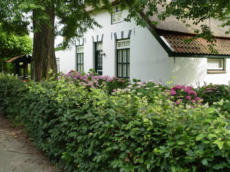 Ferienhaus Nijmegen