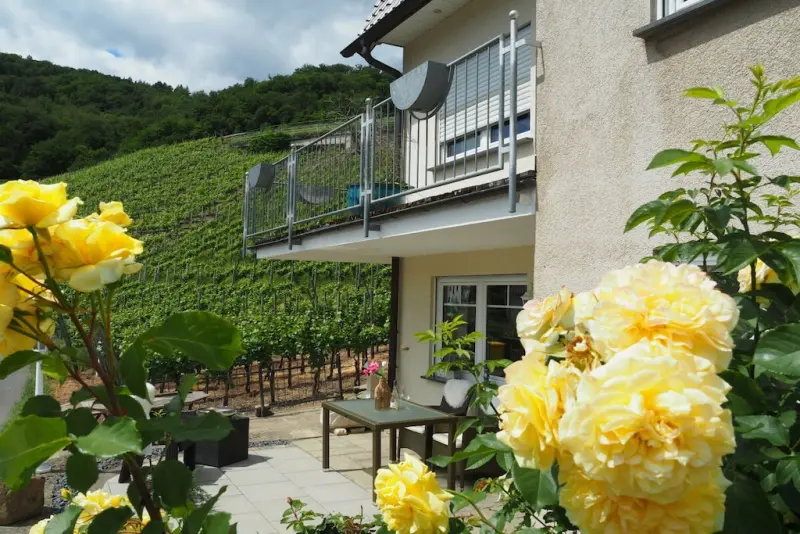 Ferienhaus Mayschoß