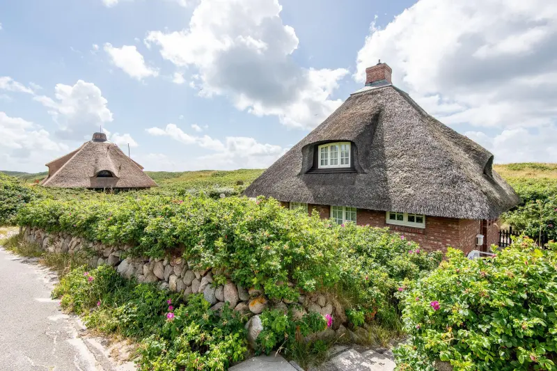 Ferienhaus mit Hund in Hörnum (Sylt) fuer max. 6 Personen