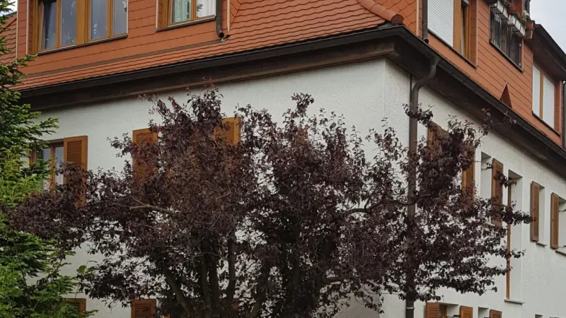Ferienwohnung Südvorstadt