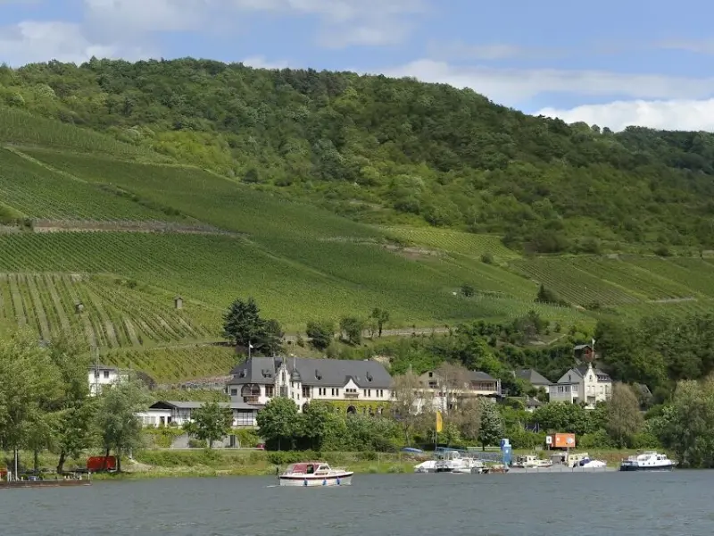 Ferienwohnung  Assmannshausen