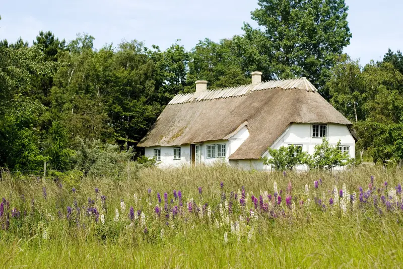 Landhaus Borre