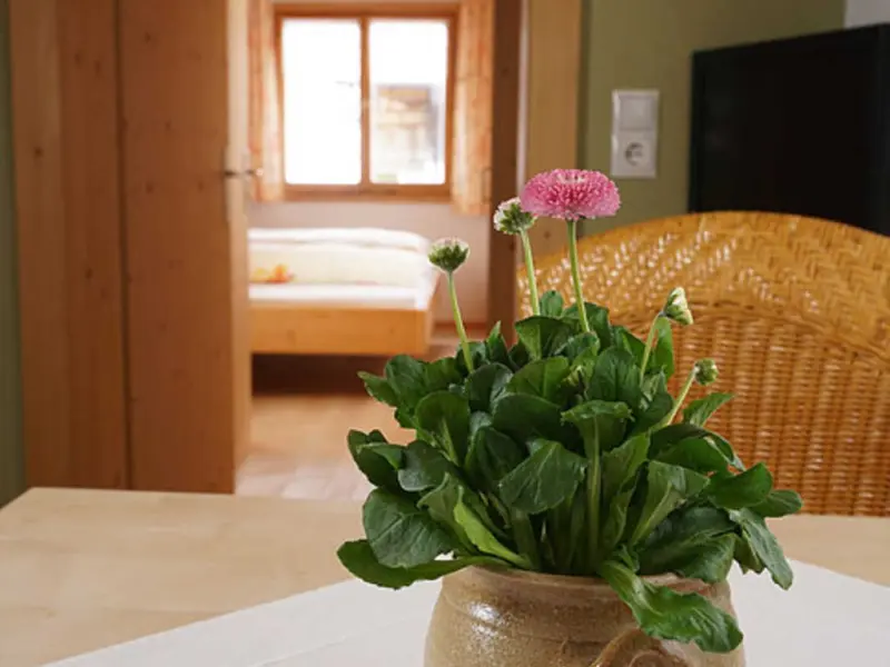 Ferienwohnung in Gemeinde Au, Vorarlberg, Österreich