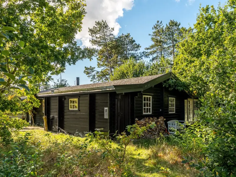 Ferienhaus in Aalbæk f&uuml;r max. 4 Personen