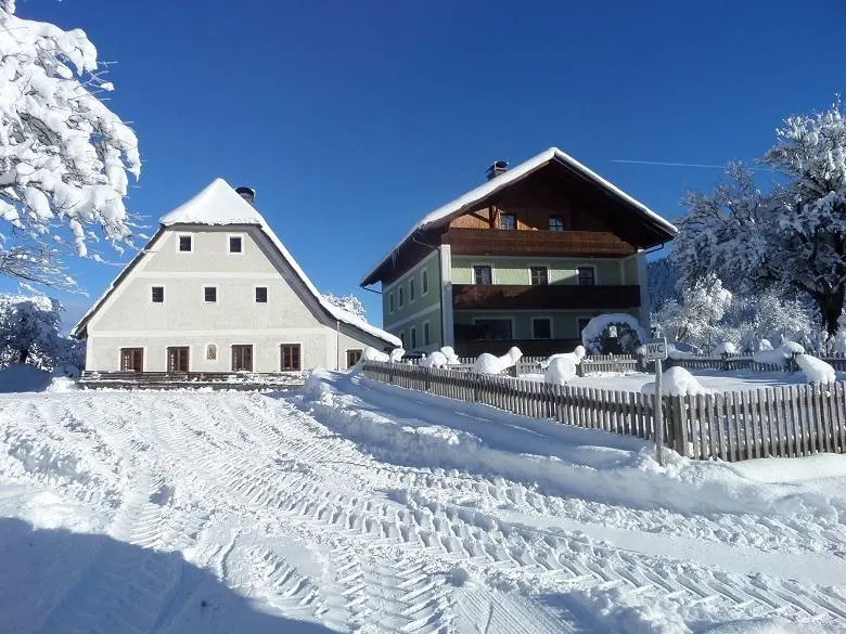 Ferienhaus ∙ 1 Schlafzimmer ∙ 4 Gäste - Lunz am See