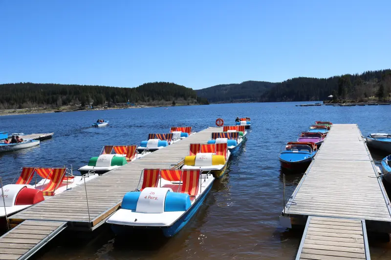 Ferienwohnung mit Hund in Schluchsee, Schwarzwald, Deutschland