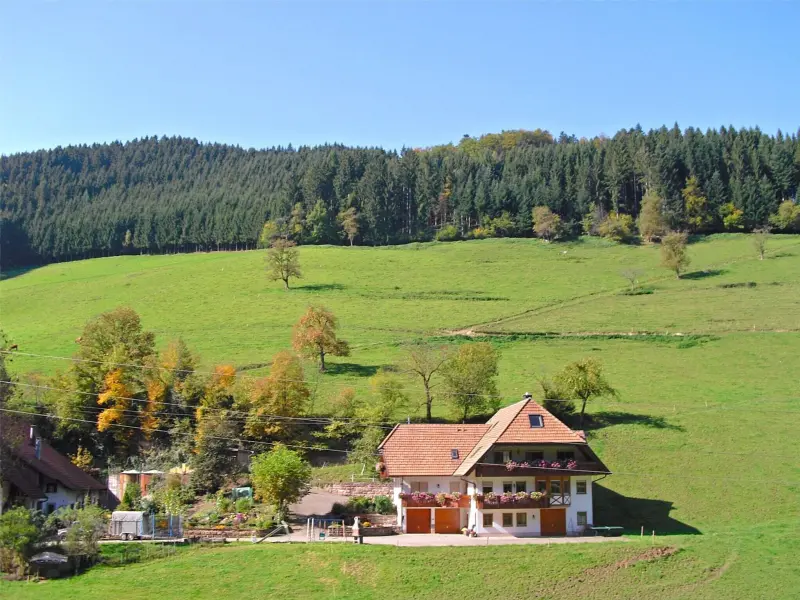Ferienwohnung Haslach im Kinzigtal