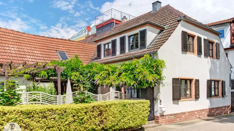 Ferienhaus Wachenheim an der Weinstraße