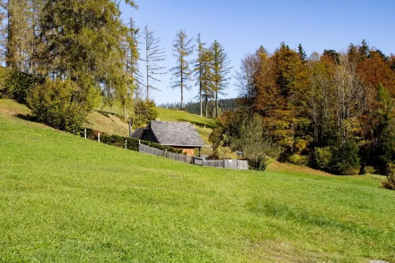 Ferienhaus  Altmünster am Traunsee