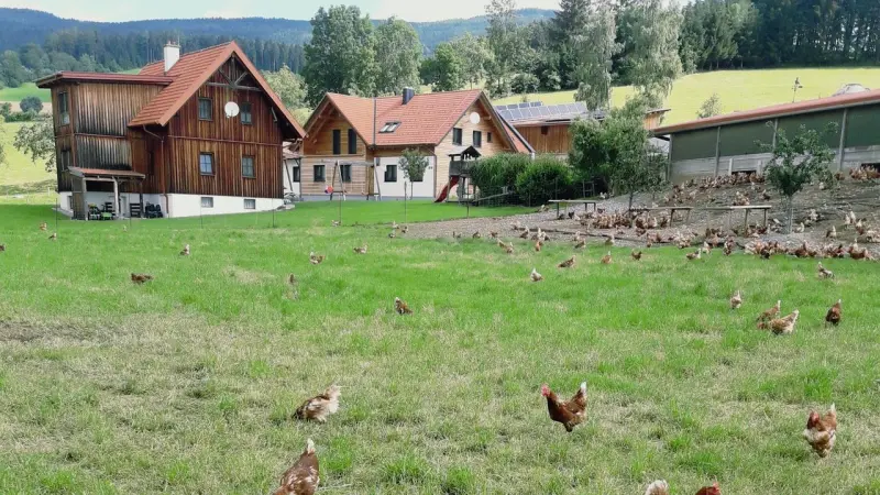 Ferienwohnung  Mönichkirchen