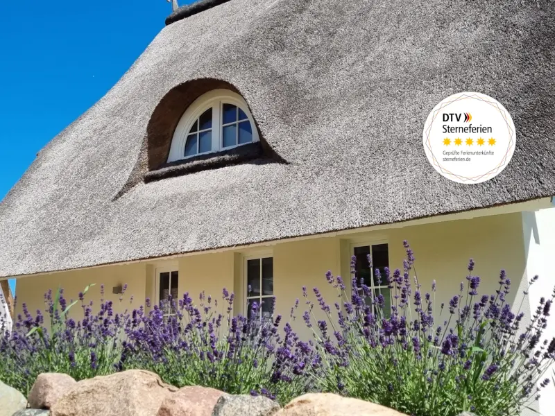 Ferienhaus Pepelow