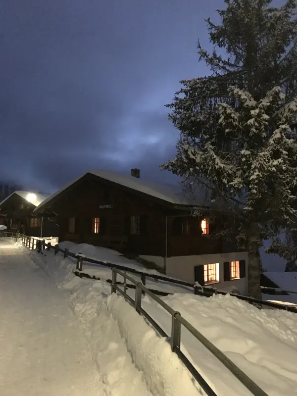 Chalet Grächen