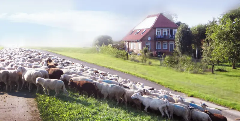 Ferienhaus Bleckede