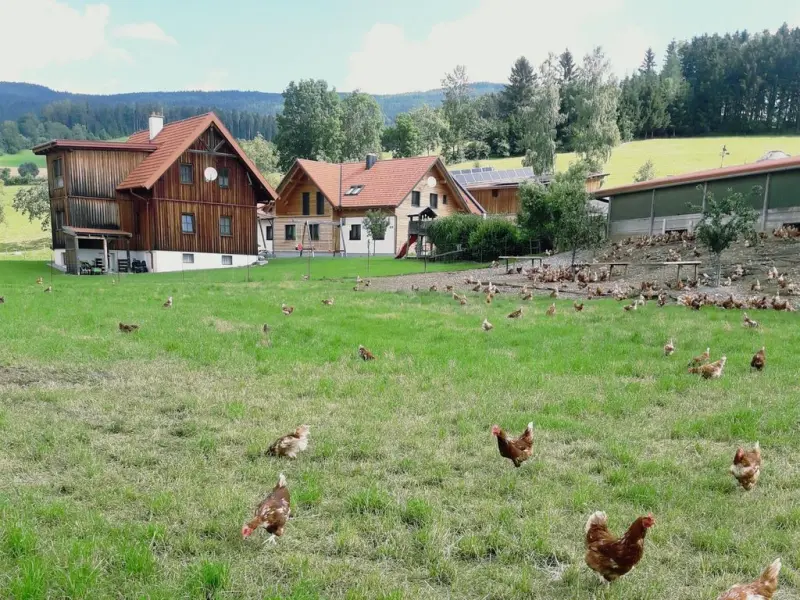 Agriturismo  Mönichkirchen