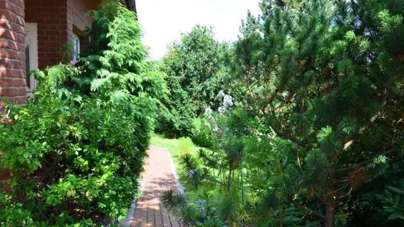 Ferienwohnung  Hann. Münden