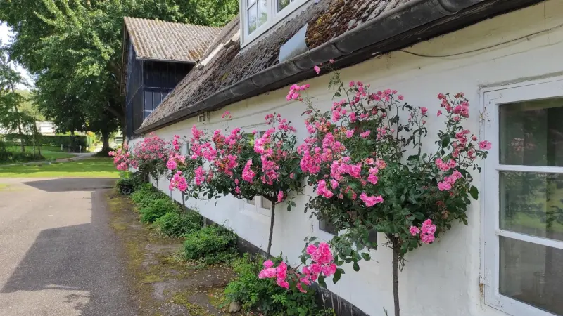 Ferienwohnung Bockholm