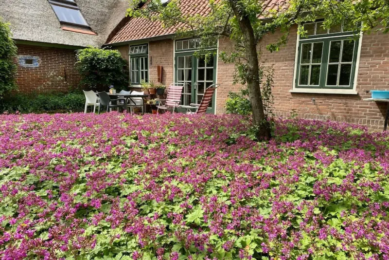 Ferienhaus  Camperduin