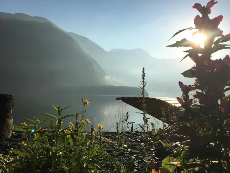 Ferienwohnung Gemeinde Altaussee