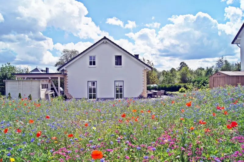 Ferienhaus Altastenberg